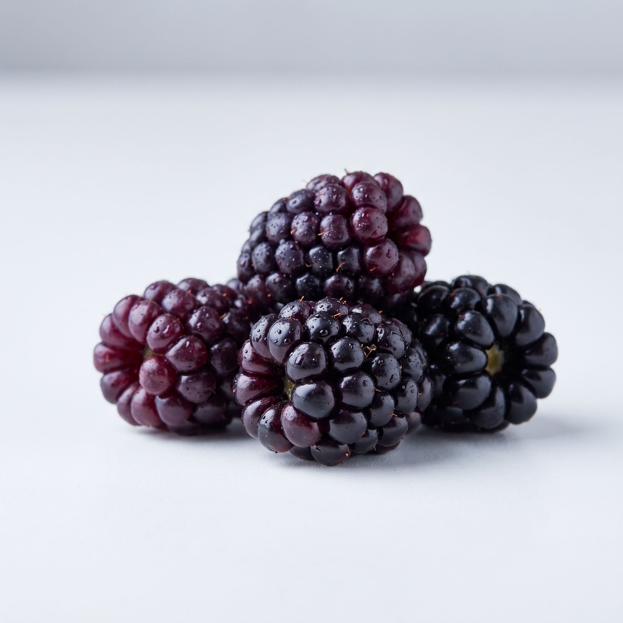 Rubus Fruticosus Fruit Extract - view 1