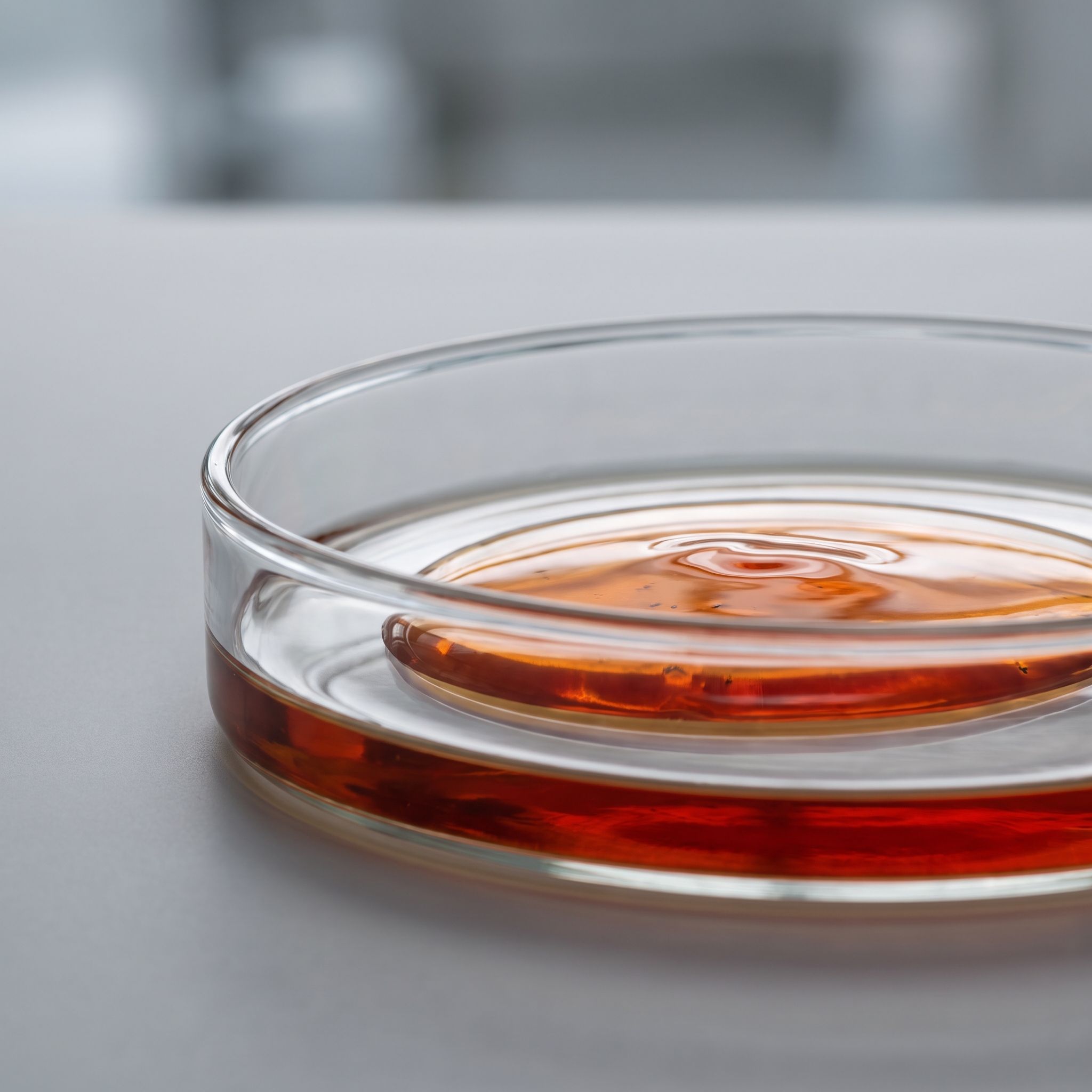 Sanguinaria Canadensis Root Extract - view 2