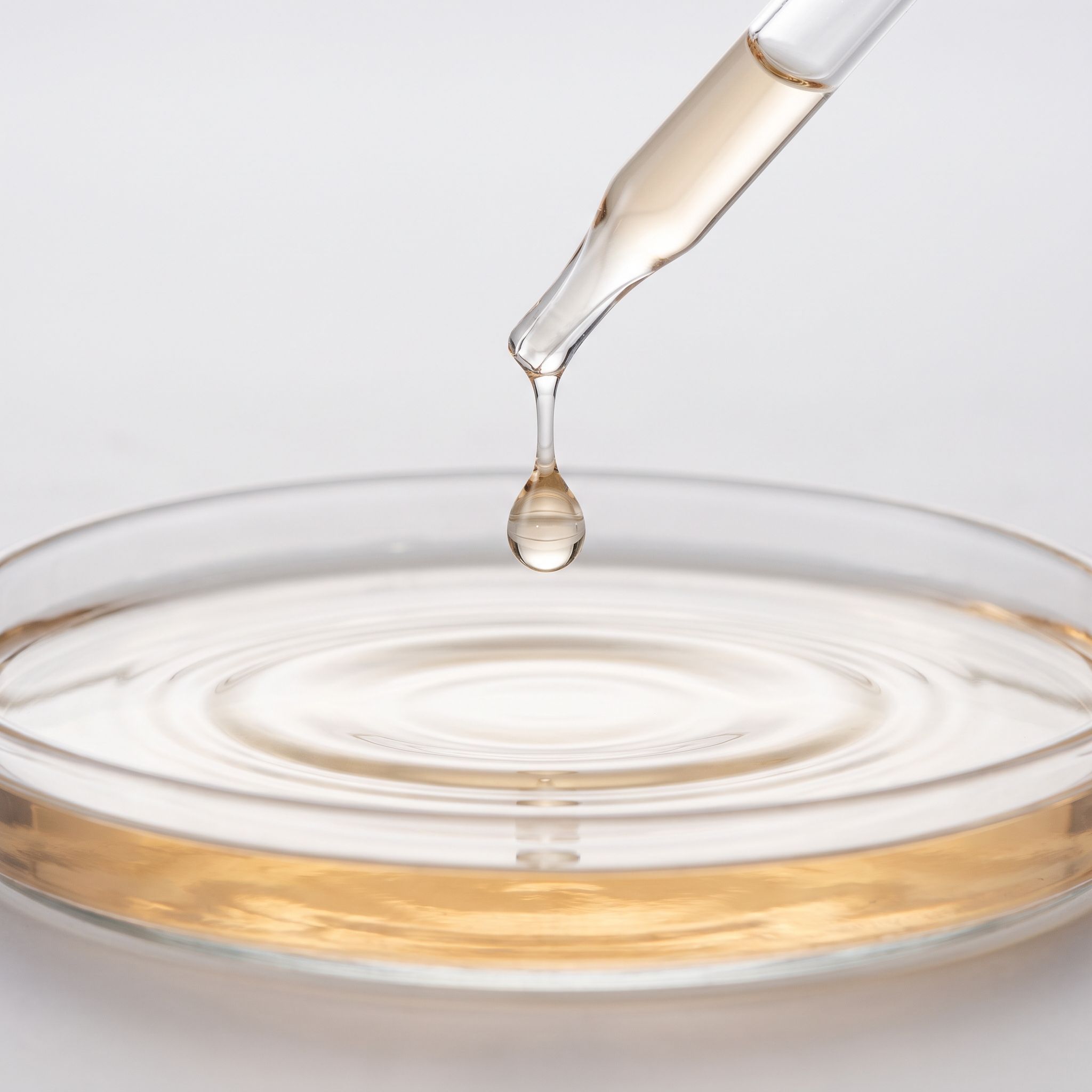 Stachytarpheta Urticifolia Herb Extract - view 2