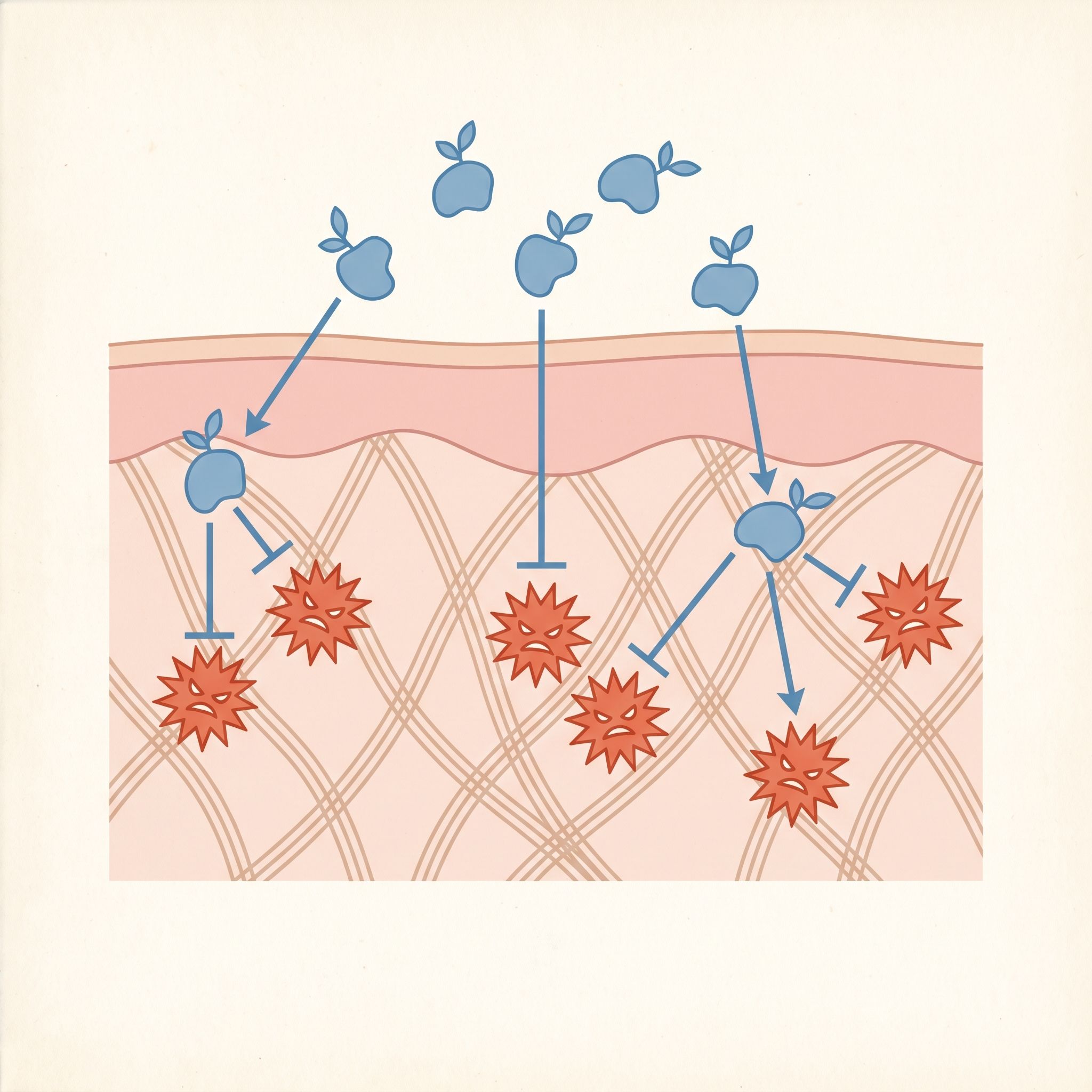 Thymus Vulgaris Leaf Extract - view 3