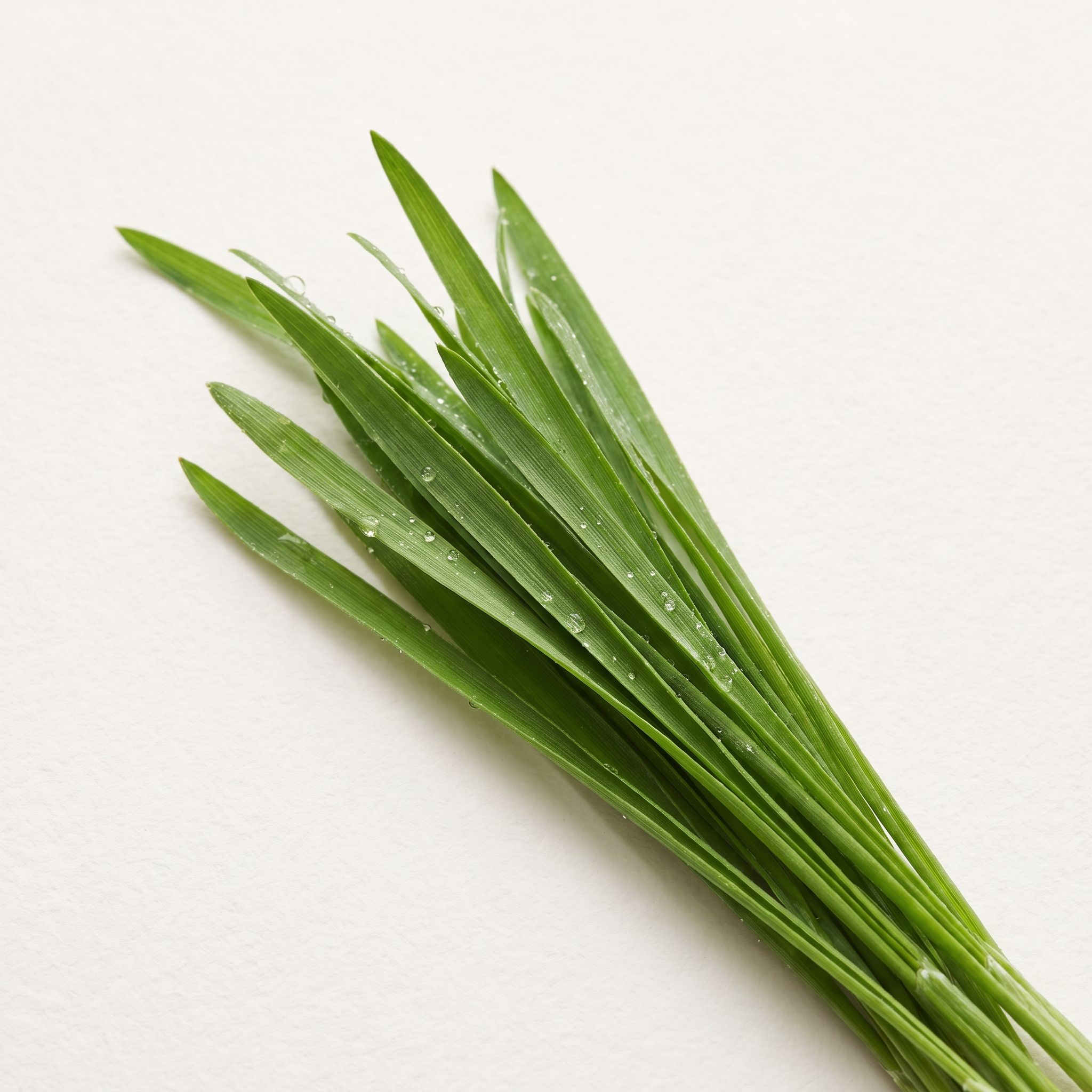 Triticum Aestivum Leaf Extract - view 1