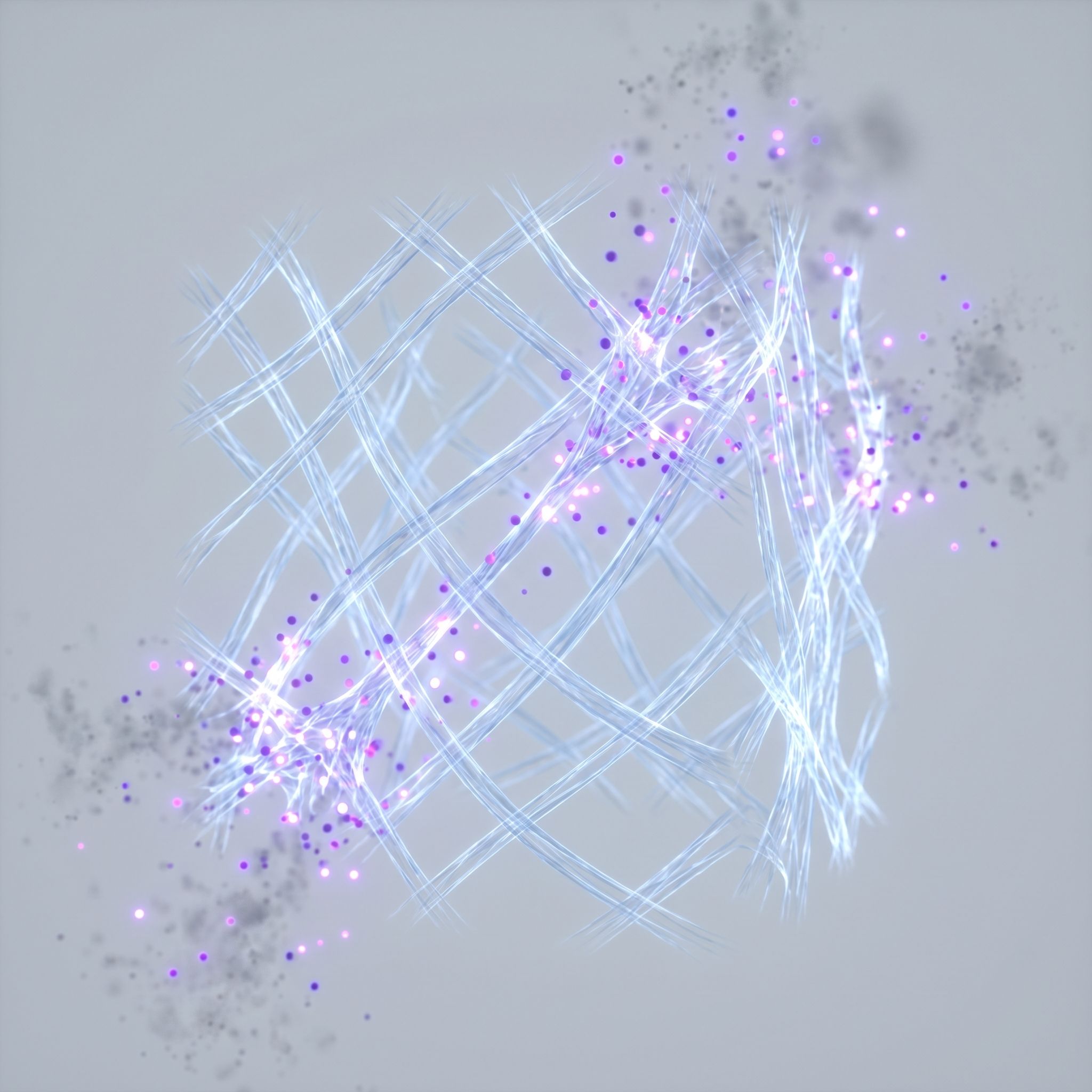 Bilberry Extract - view 3