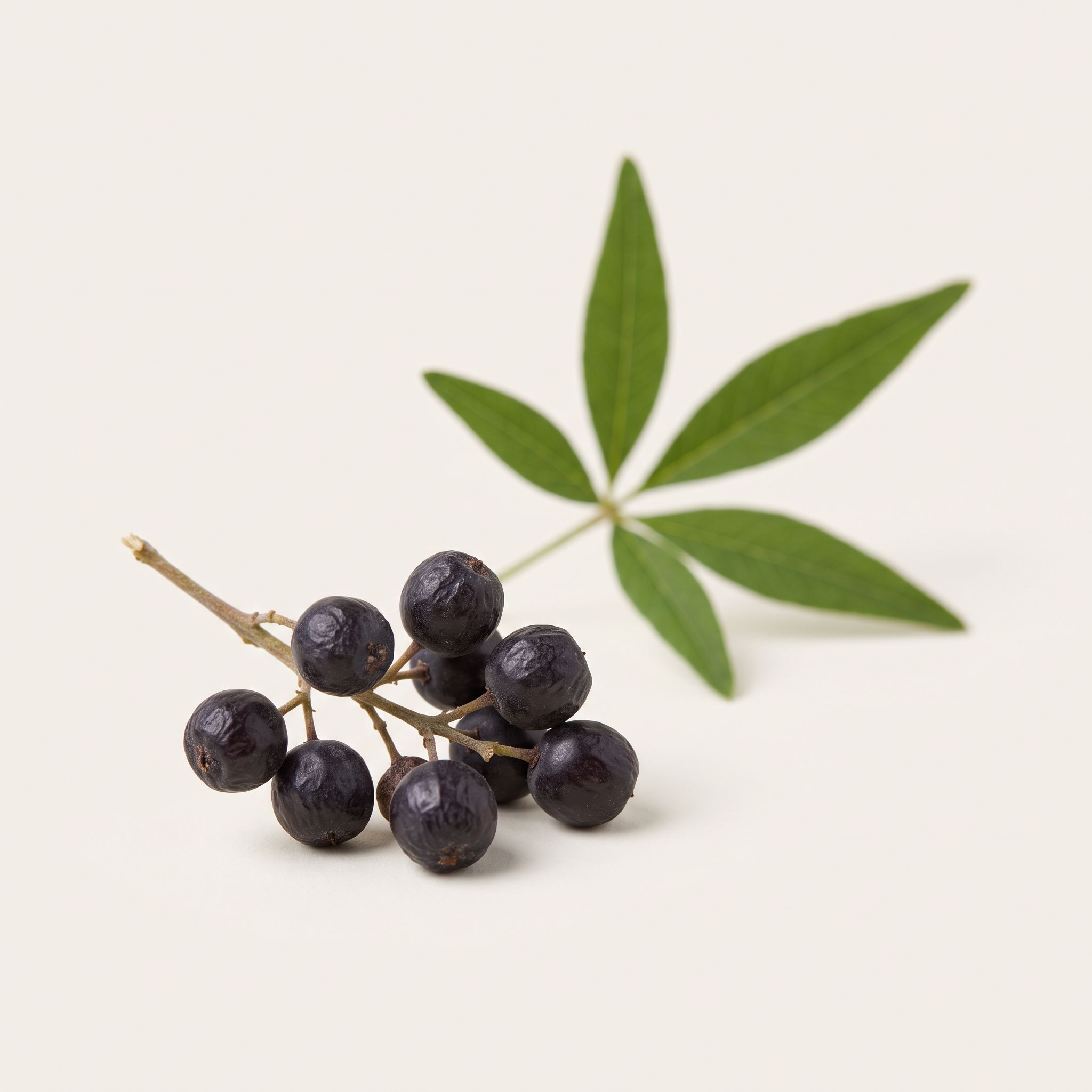 Vitex Agnus-Castus Fruit Extract - view 1