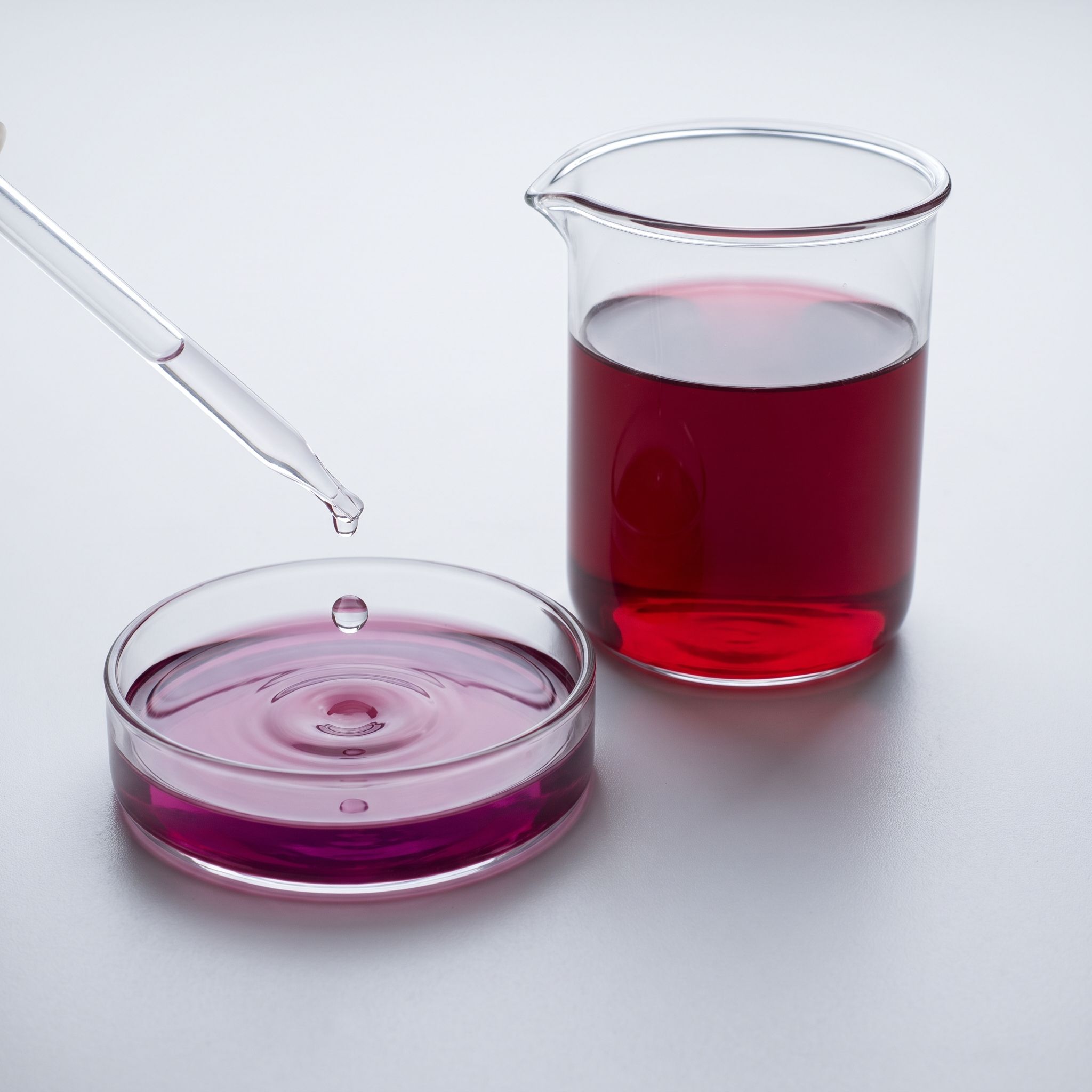 Vitis Labrusca Peel Extract - view 2